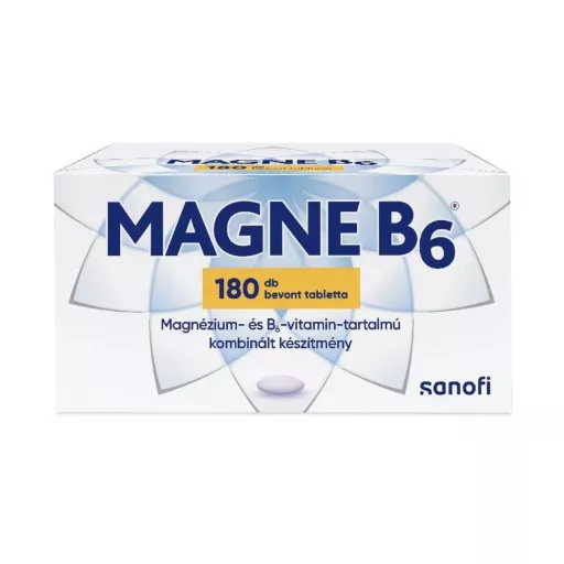 Magne B6